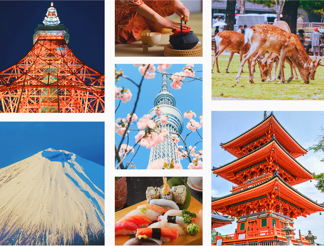 About Royal Vacation